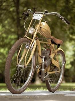 FURKAMOTORS --- COFFE BEAN